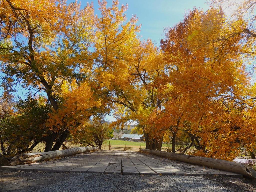 Canyon Of The Ancients Guest Ranch Cortez Esterno foto