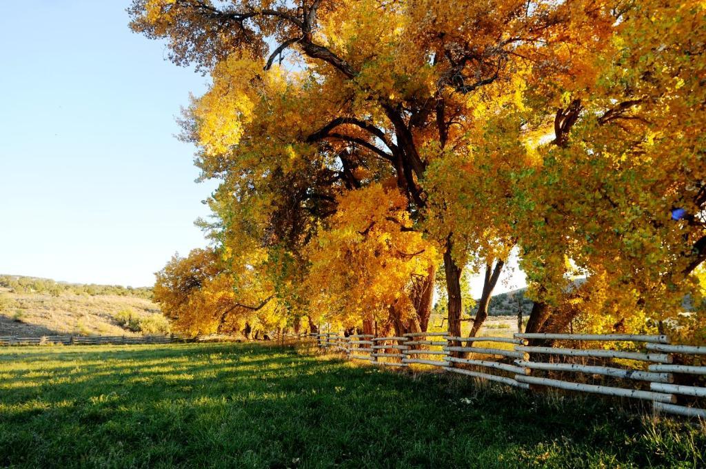 Canyon Of The Ancients Guest Ranch Cortez Esterno foto