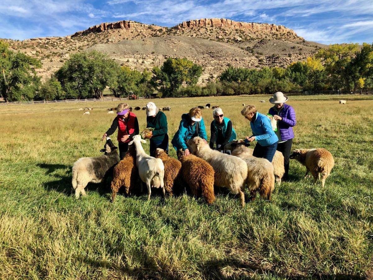 Canyon Of The Ancients Guest Ranch Cortez Esterno foto
